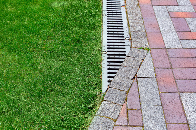 Why Proper Landscape Drainage is Important | Serene Landscape Consulting